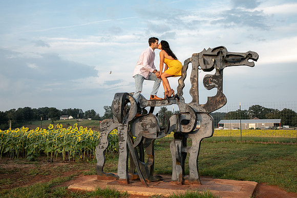 Southern & Rhett - Sunflower Field at the Iron Horse