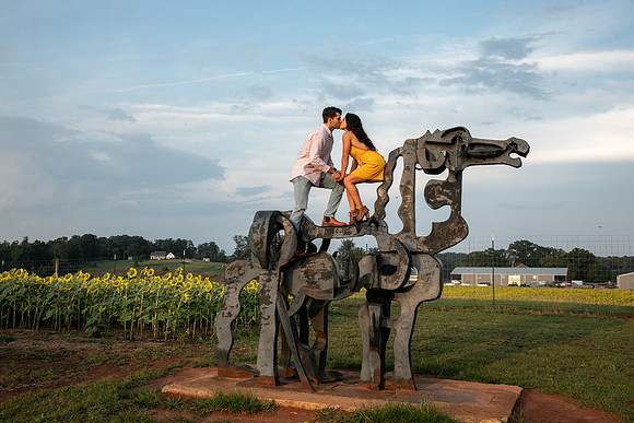 Southern & Rhett - Sunflower Field at the Iron Horse