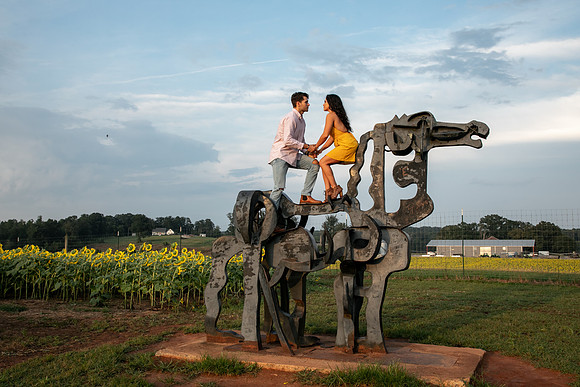 Southern & Rhett - Sunflower Field at the Iron Horse