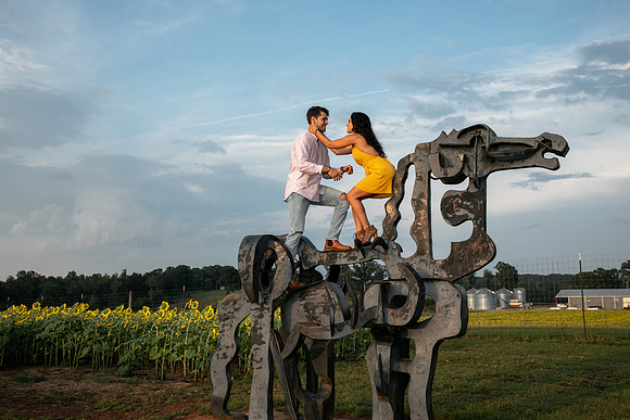Southern & Rhett - Sunflower Field at the Iron Horse