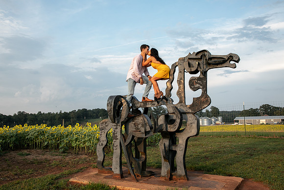 Southern & Rhett - Sunflower Field at the Iron Horse