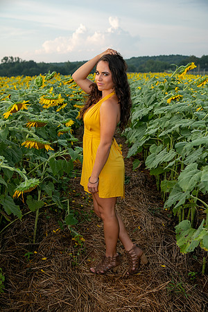 Southern & Rhett - Sunflower Field at the Iron Horse