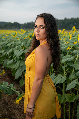 Southern & Rhett - Sunflower Field at the Iron Horse