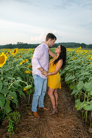 Southern & Rhett - Sunflower Field at the Iron Horse