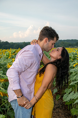 Southern & Rhett - Sunflower Field at the Iron Horse