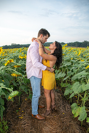 Southern & Rhett - Sunflower Field at the Iron Horse