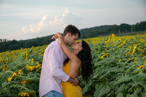 Southern & Rhett - Sunflower Field at the Iron Horse