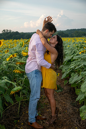 Southern & Rhett - Sunflower Field at the Iron Horse