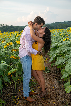 Southern & Rhett - Sunflower Field at the Iron Horse