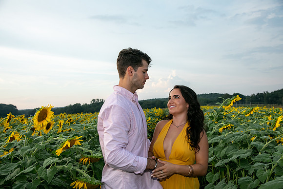 Southern & Rhett - Sunflower Field at the Iron Horse