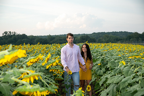 Southern & Rhett - Sunflower Field at the Iron Horse