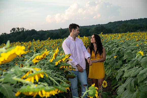 Southern & Rhett - Sunflower Field at the Iron Horse