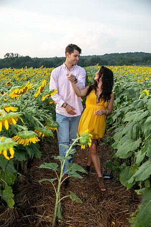 Southern & Rhett - Sunflower Field at the Iron Horse