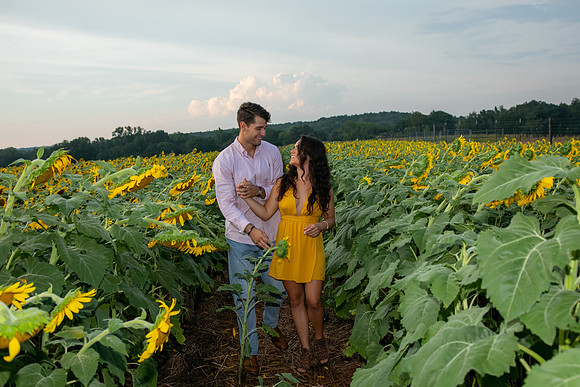 Southern & Rhett - Sunflower Field at the Iron Horse