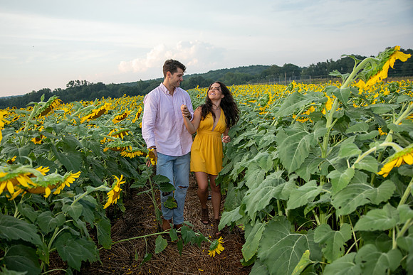 Southern & Rhett - Sunflower Field at the Iron Horse