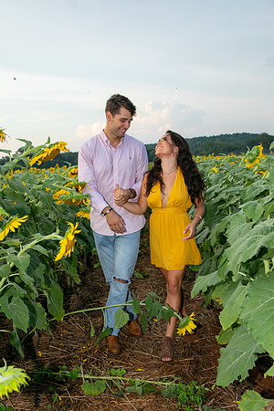 Southern & Rhett - Sunflower Field at the Iron Horse