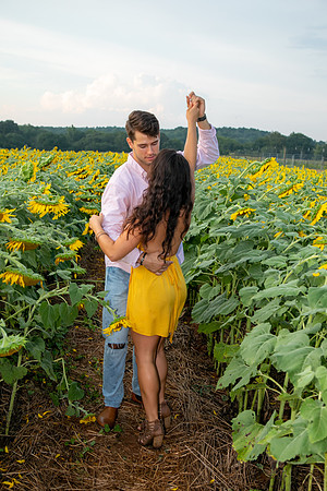Southern & Rhett - Sunflower Field at the Iron Horse