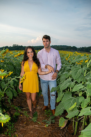 Southern & Rhett - Sunflower Field at the Iron Horse