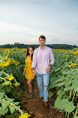 Southern & Rhett - Sunflower Field at the Iron Horse