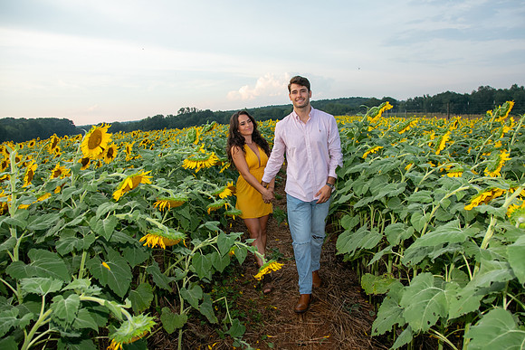 Southern & Rhett - Sunflower Field at the Iron Horse