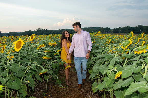 Southern & Rhett - Sunflower Field at the Iron Horse