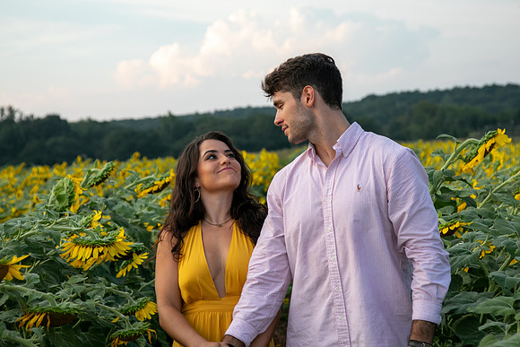 Southern & Rhett - Sunflower Field at the Iron Horse