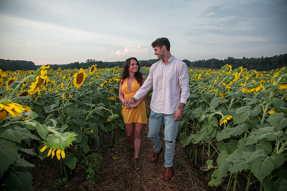 Southern & Rhett - Sunflower Field at the Iron Horse