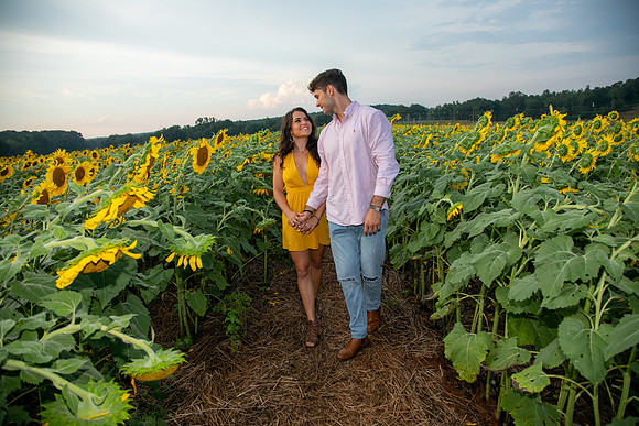 Southern & Rhett - Sunflower Field at the Iron Horse