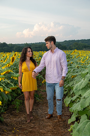 Southern & Rhett - Sunflower Field at the Iron Horse