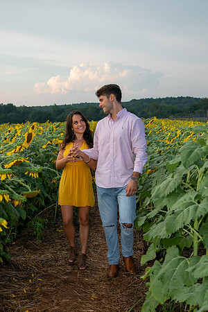 Southern & Rhett - Sunflower Field at the Iron Horse