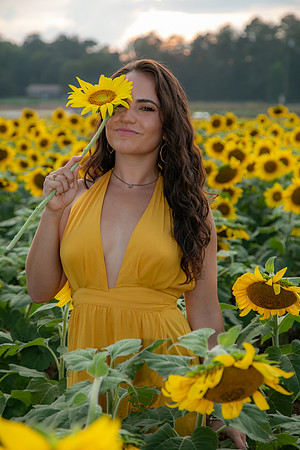 Southern & Rhett - Sunflower Field at the Iron Horse