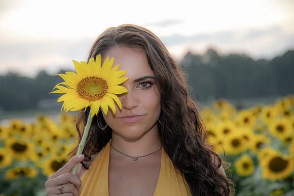 Southern & Rhett - Sunflower Field at the Iron Horse