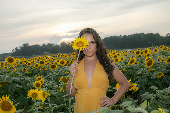 Southern & Rhett - Sunflower Field at the Iron Horse