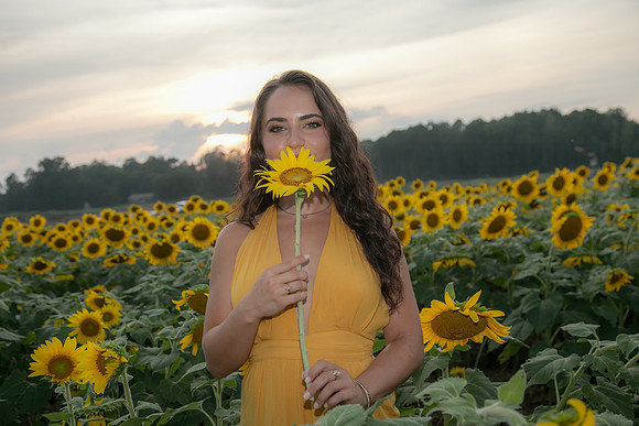 Southern & Rhett - Sunflower Field at the Iron Horse