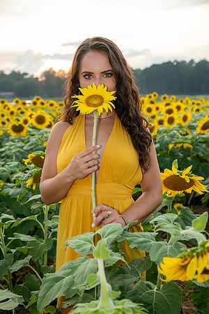 Southern & Rhett - Sunflower Field at the Iron Horse