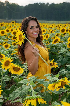Southern & Rhett - Sunflower Field at the Iron Horse