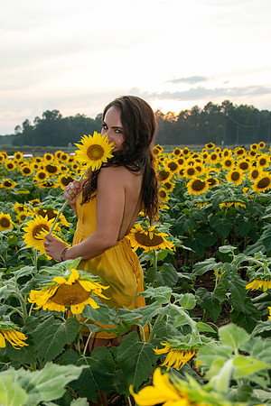 Southern & Rhett - Sunflower Field at the Iron Horse