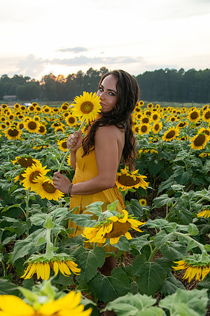 Southern & Rhett - Sunflower Field at the Iron Horse