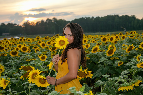 Southern & Rhett - Sunflower Field at the Iron Horse