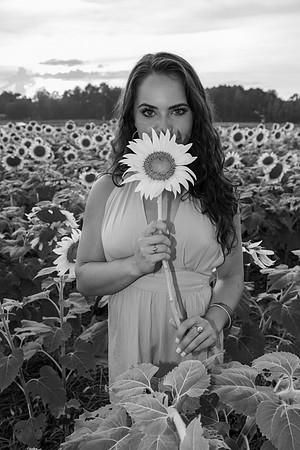 Southern & Rhett - Sunflower Field at the Iron Horse