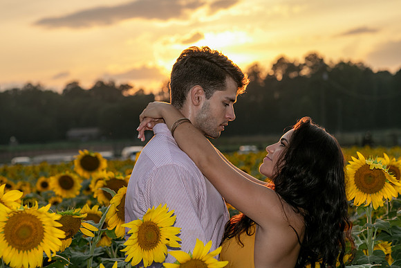 Southern & Rhett - Sunflower Field at the Iron Horse