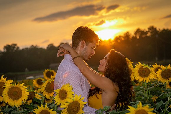 Southern & Rhett - Sunflower Field at the Iron Horse