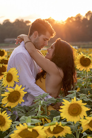 Southern & Rhett - Sunflower Field at the Iron Horse