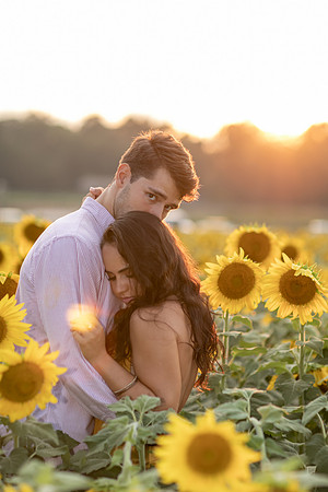 Southern & Rhett - Sunflower Field at the Iron Horse