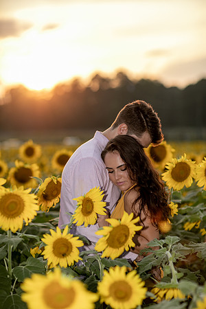 Southern & Rhett - Sunflower Field at the Iron Horse