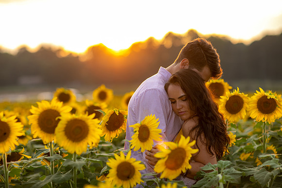 Southern & Rhett - Sunflower Field at the Iron Horse