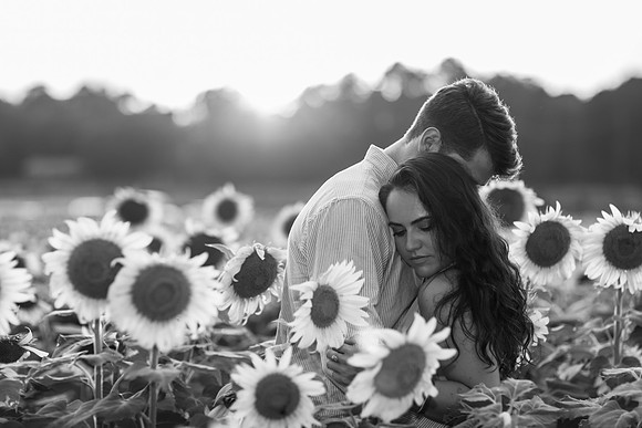 Southern & Rhett - Sunflower Field at the Iron Horse