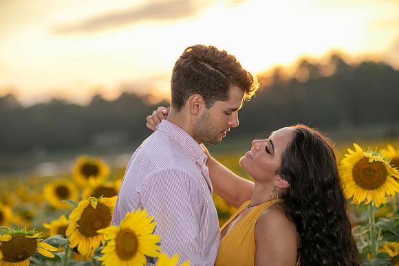 Southern & Rhett - Sunflower Field at the Iron Horse