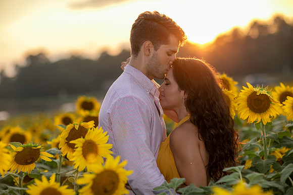 Southern & Rhett - Sunflower Field at the Iron Horse