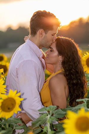 Southern & Rhett - Sunflower Field at the Iron Horse